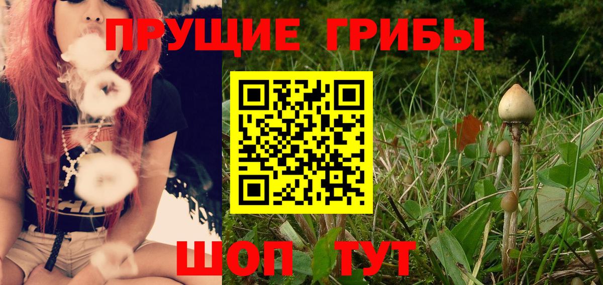 Галлюциногенные грибы прущие грибы Добрянка